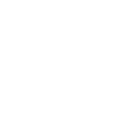 Cyber Security