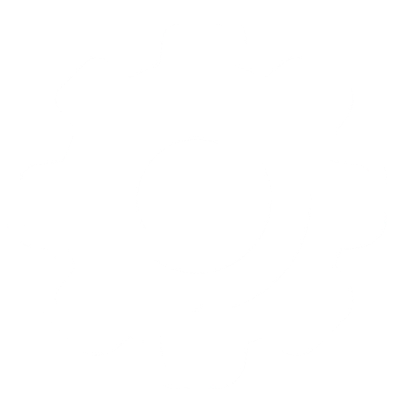 Systems Development